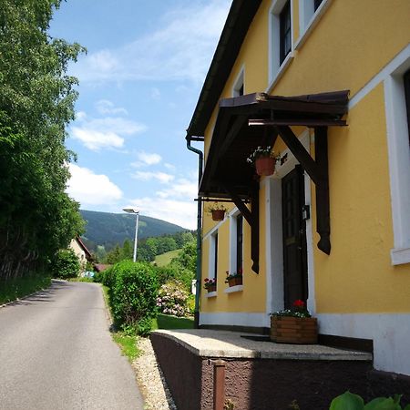 Apartmany Ilona Rokytnice nad Jizerou Exterior photo